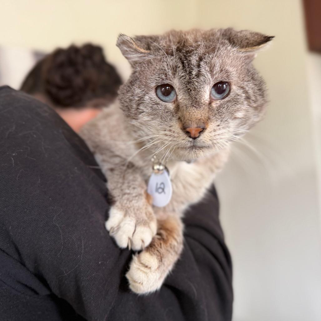 Ernest — thumbnail 3