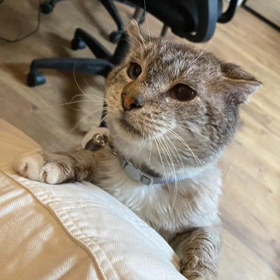 Ernest — thumbnail 4