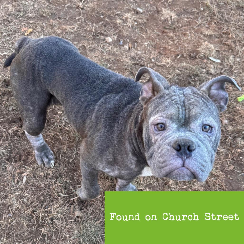 Mack — thumbnail 3