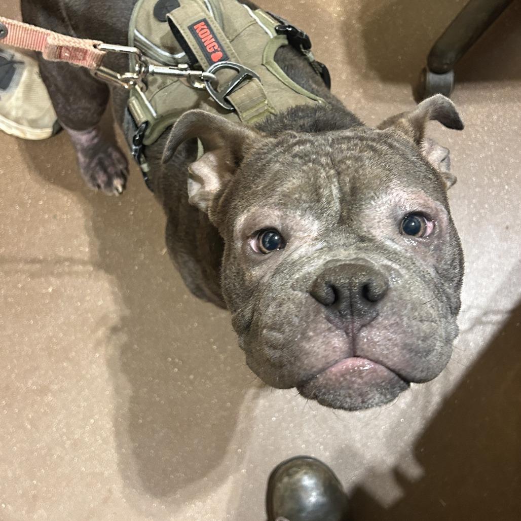 Mack — thumbnail 4