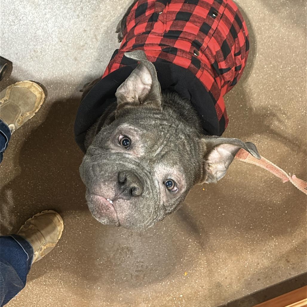 Mack — thumbnail 5