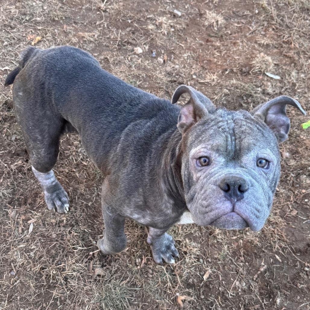 Mack — thumbnail 6