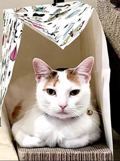 Meredith Grey — thumbnail 2