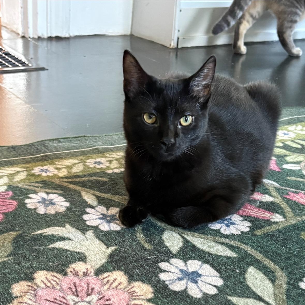 Gladys photo