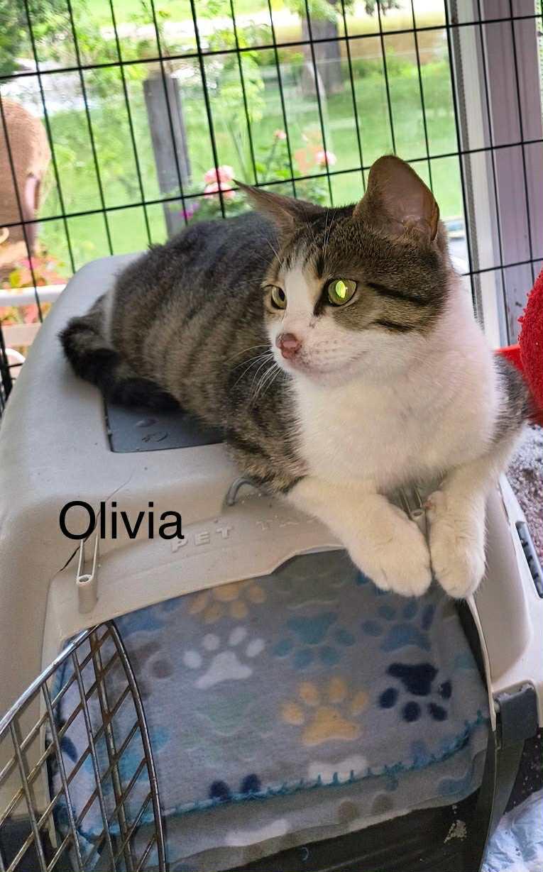 Olivia