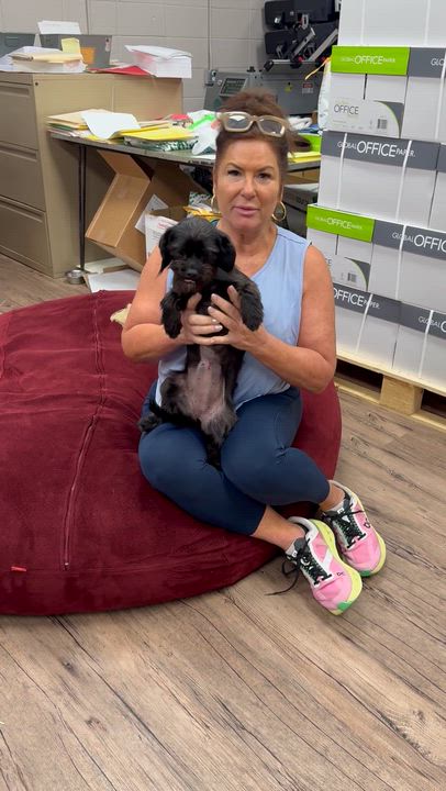 Enlarge XENA, an adopted mixed breed in Warwick, RI video 6/6