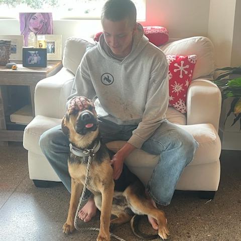 Enlarge Cedar, a Adoptable Mixed Breed in Bend, OR image 3/6