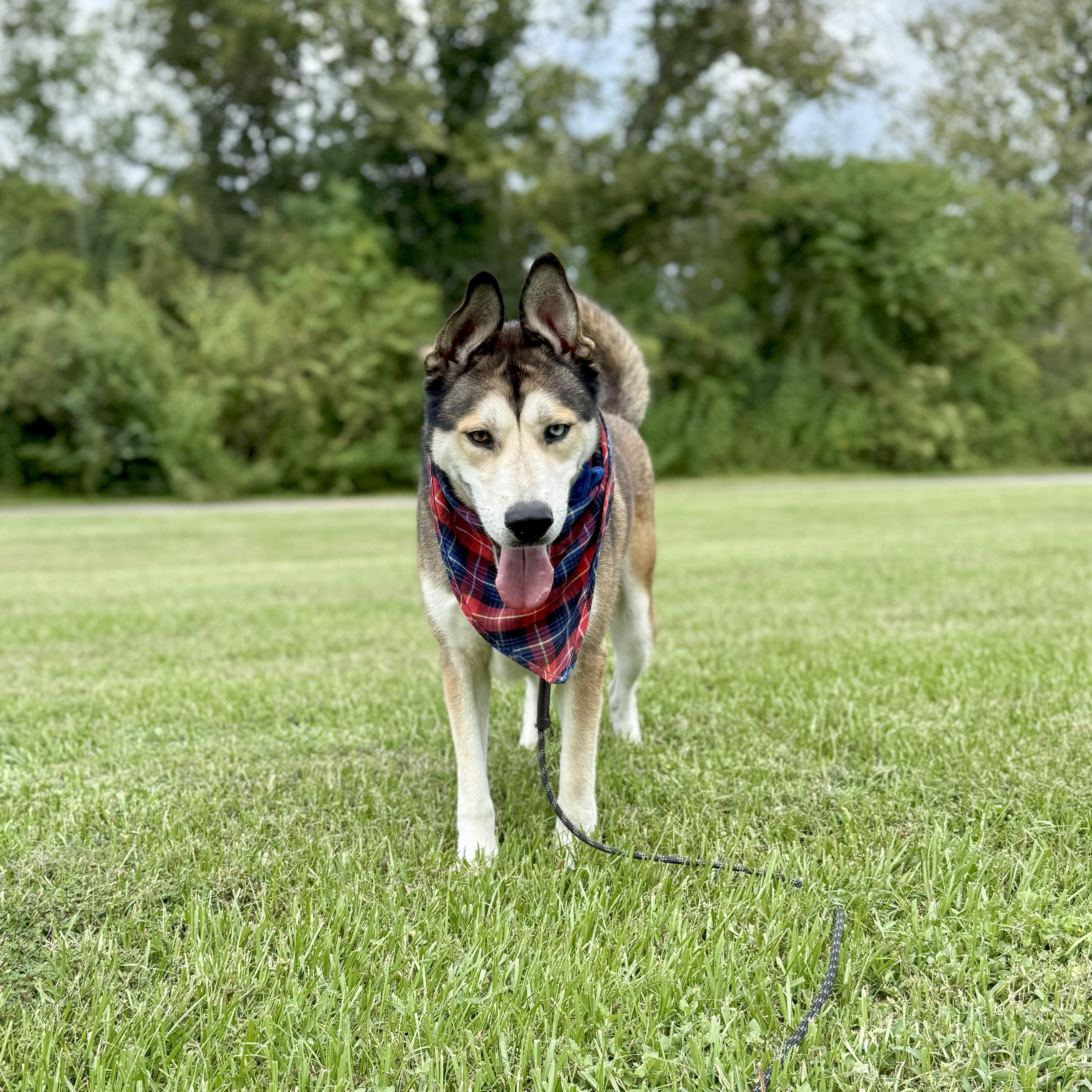 Ken Kix's — thumbnail 4