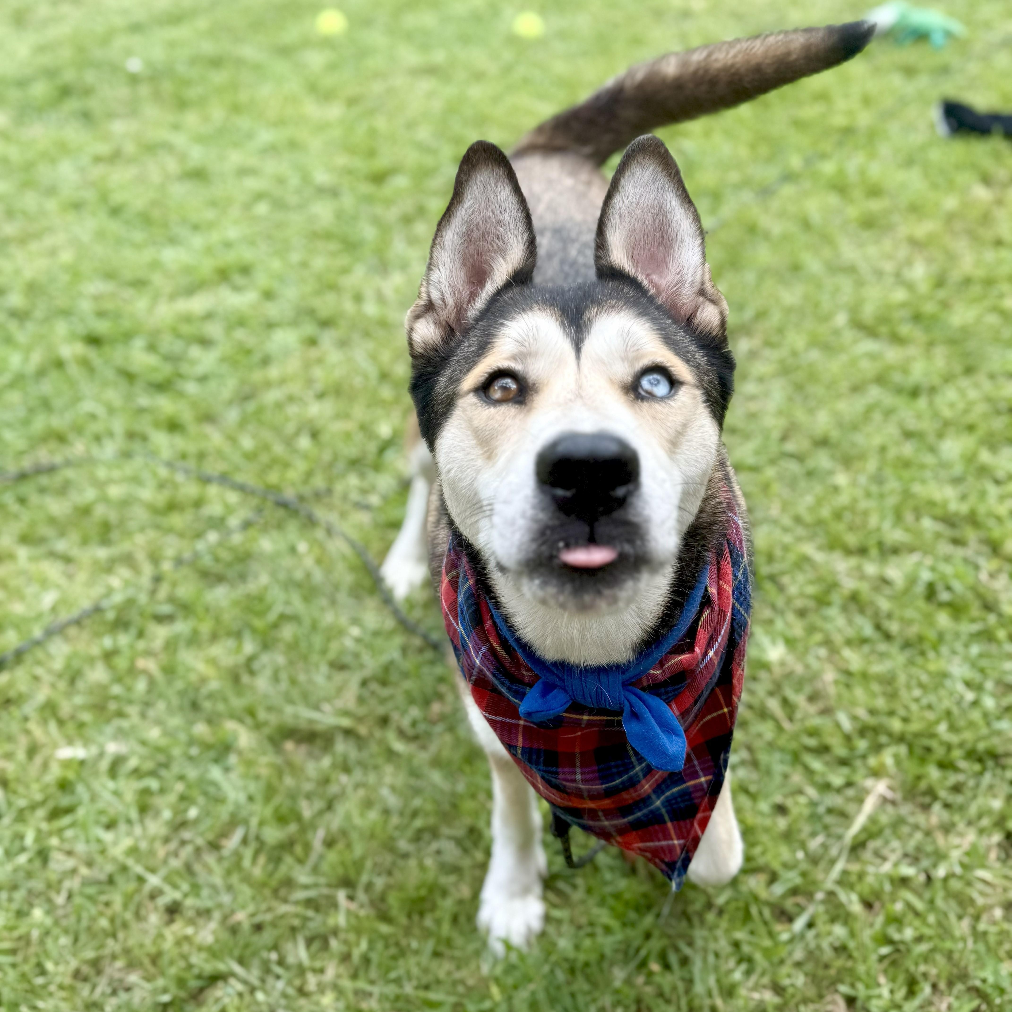 Ken Kix's — thumbnail 6