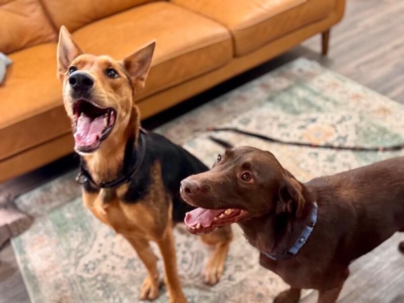 Becca Boo Loves Bigger than her EARS! — thumbnail 3