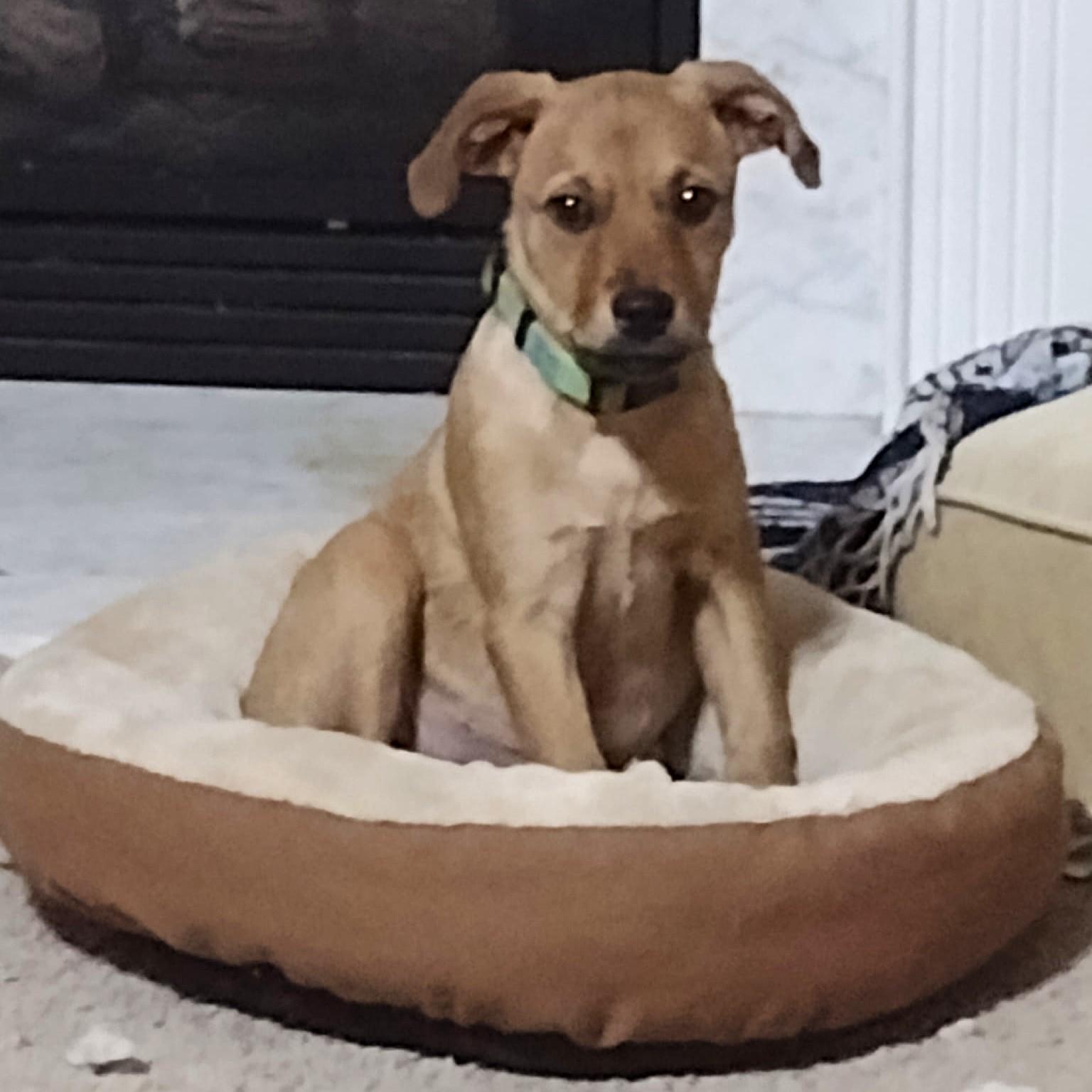 Bridgette thumbnail 2