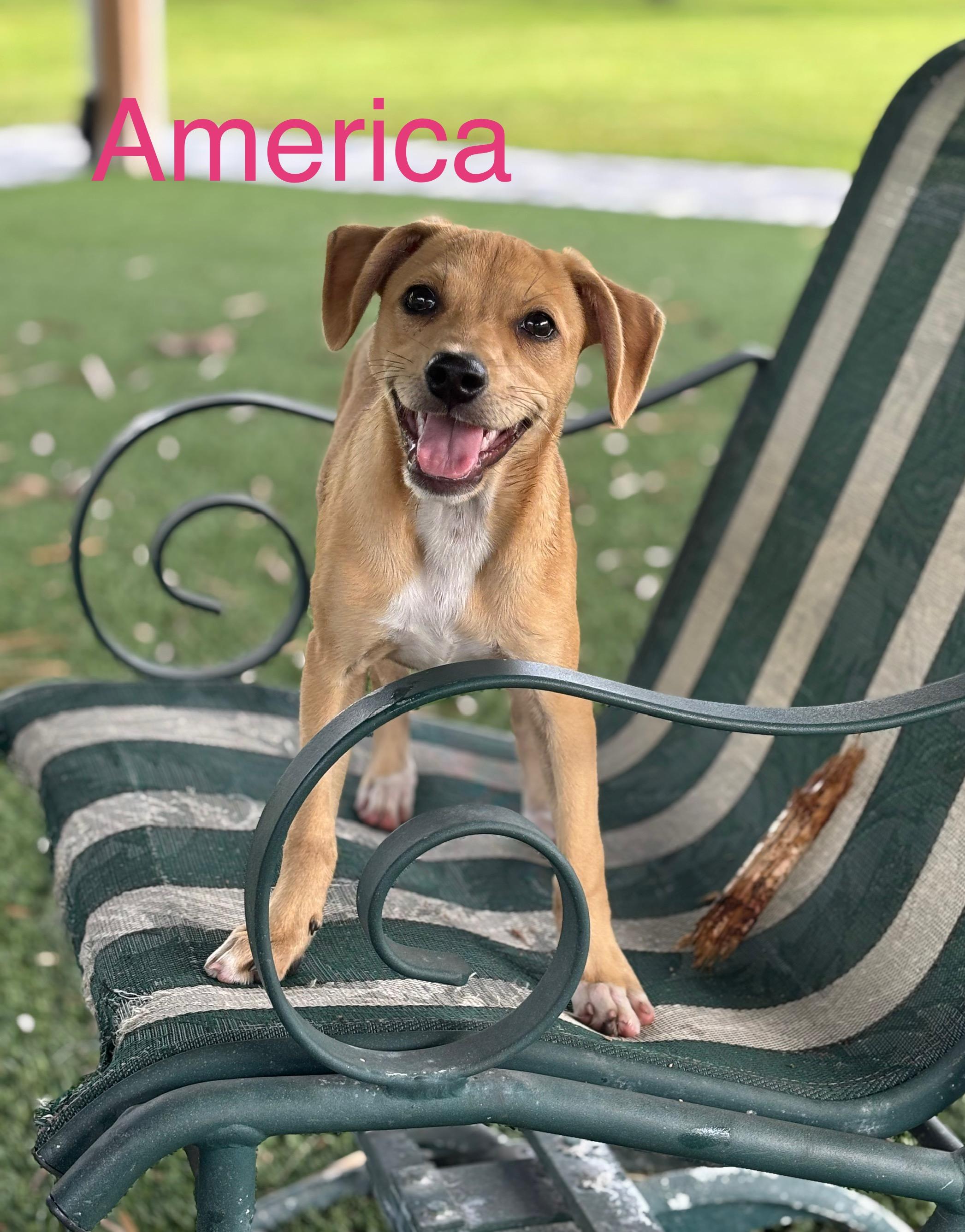 America
