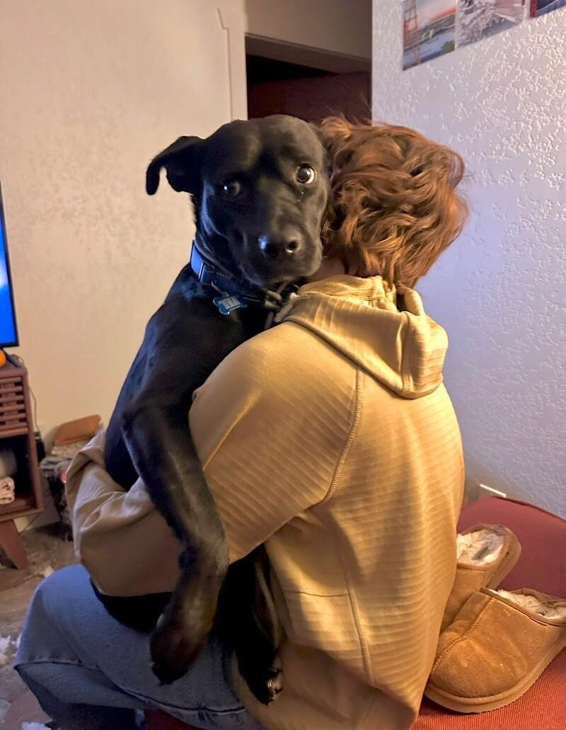 Blueberry, a Adoptable mixed breed in Boulder, CO image 4/4