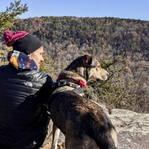 Enlarge Cola, a Adoptable mixed breed in Leesburg, AL image 5/5