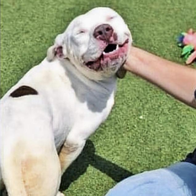 Marty — thumbnail 3