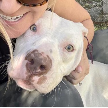 Marty — thumbnail 6