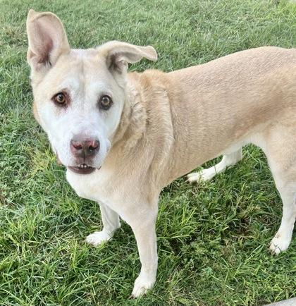 Rumple — thumbnail 2