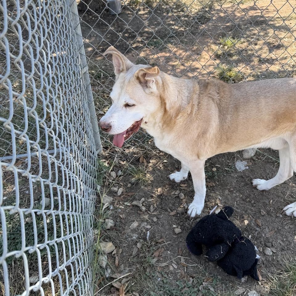 Rumple — thumbnail 3