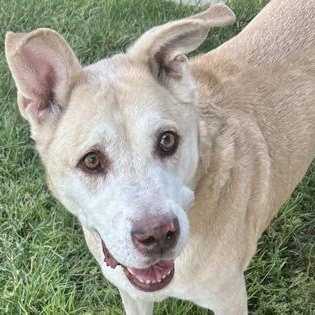 Rumple — thumbnail 4