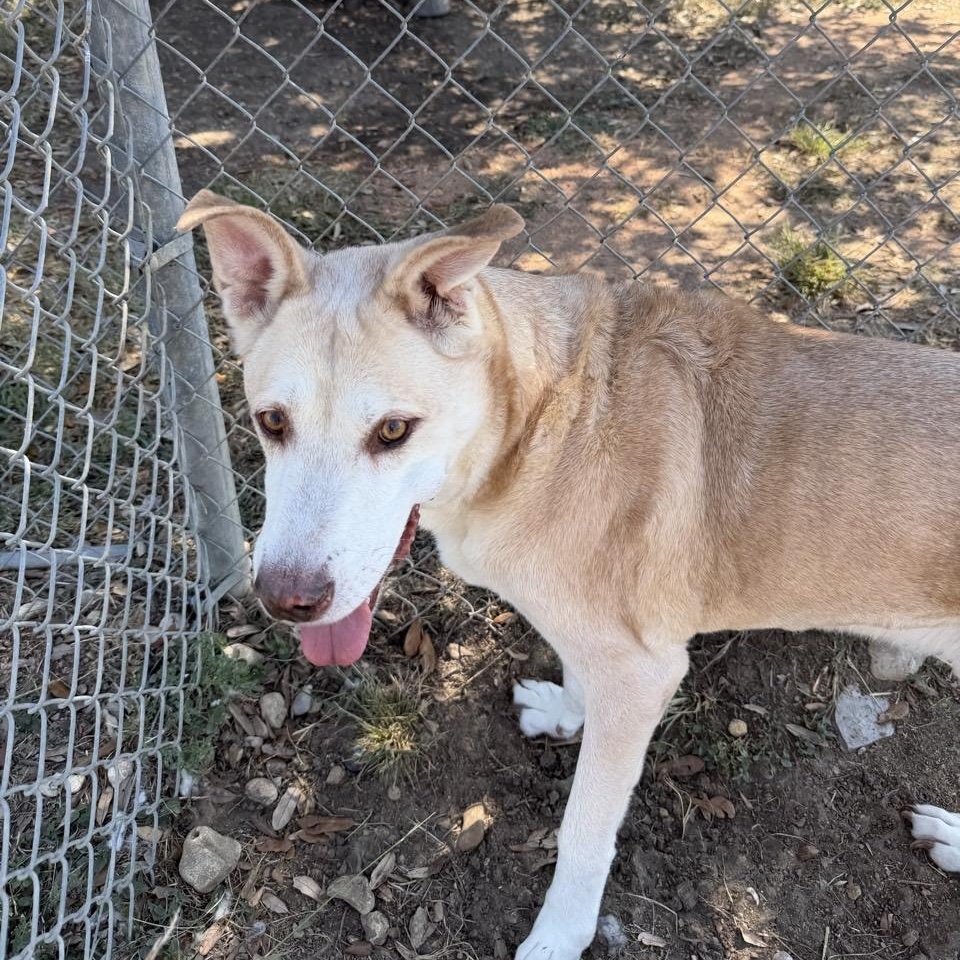 Rumple — thumbnail 5