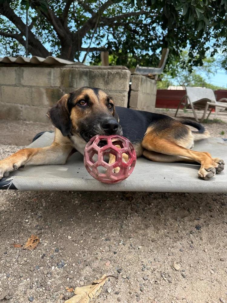 Lluvia — thumbnail 4