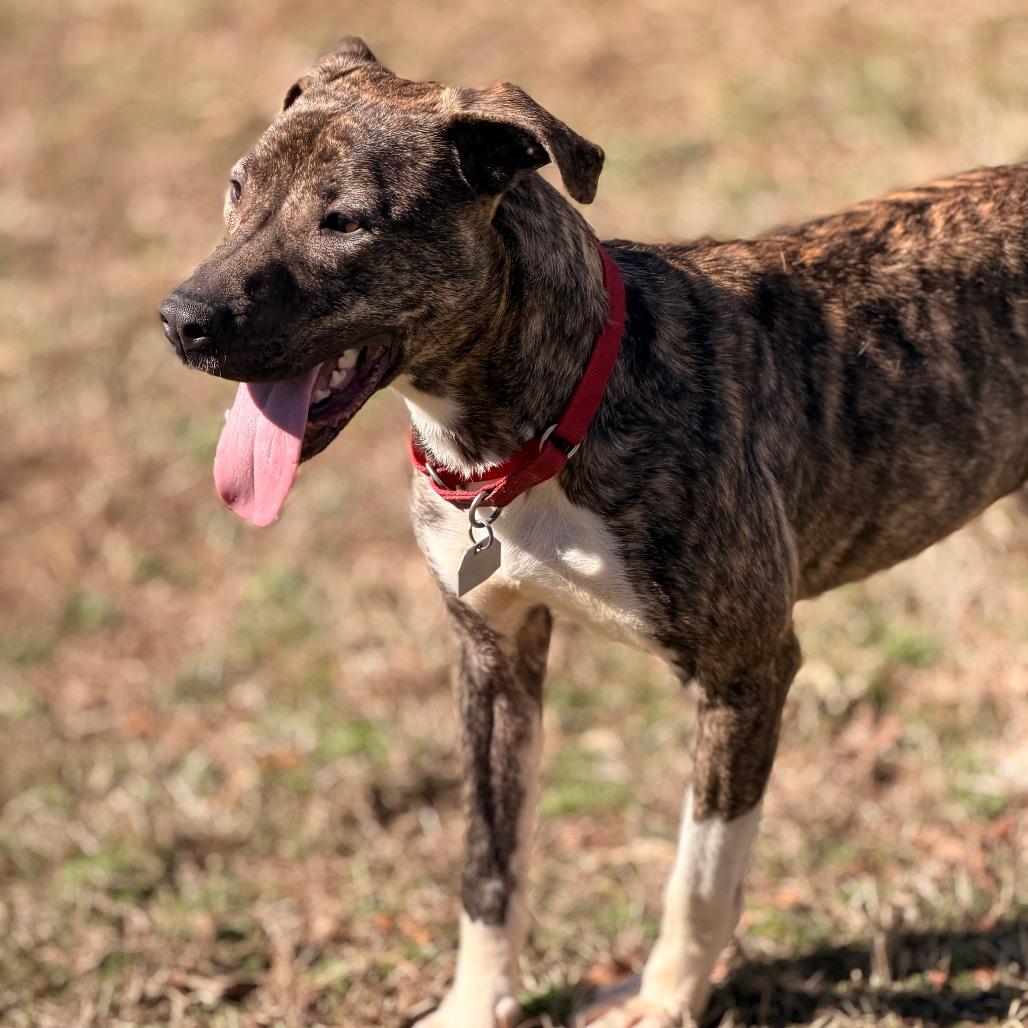 Finley — thumbnail 2