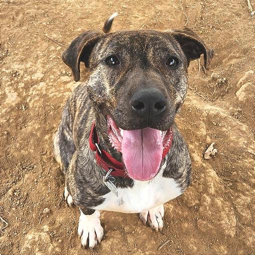 Finley — thumbnail 3