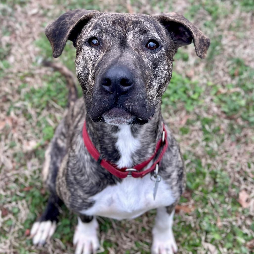 Finley — thumbnail 4