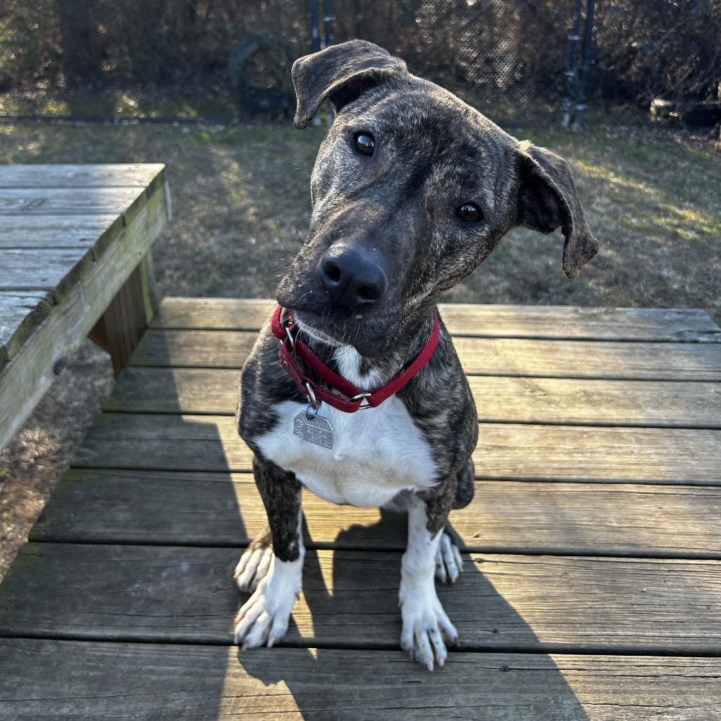 Finley — thumbnail 5