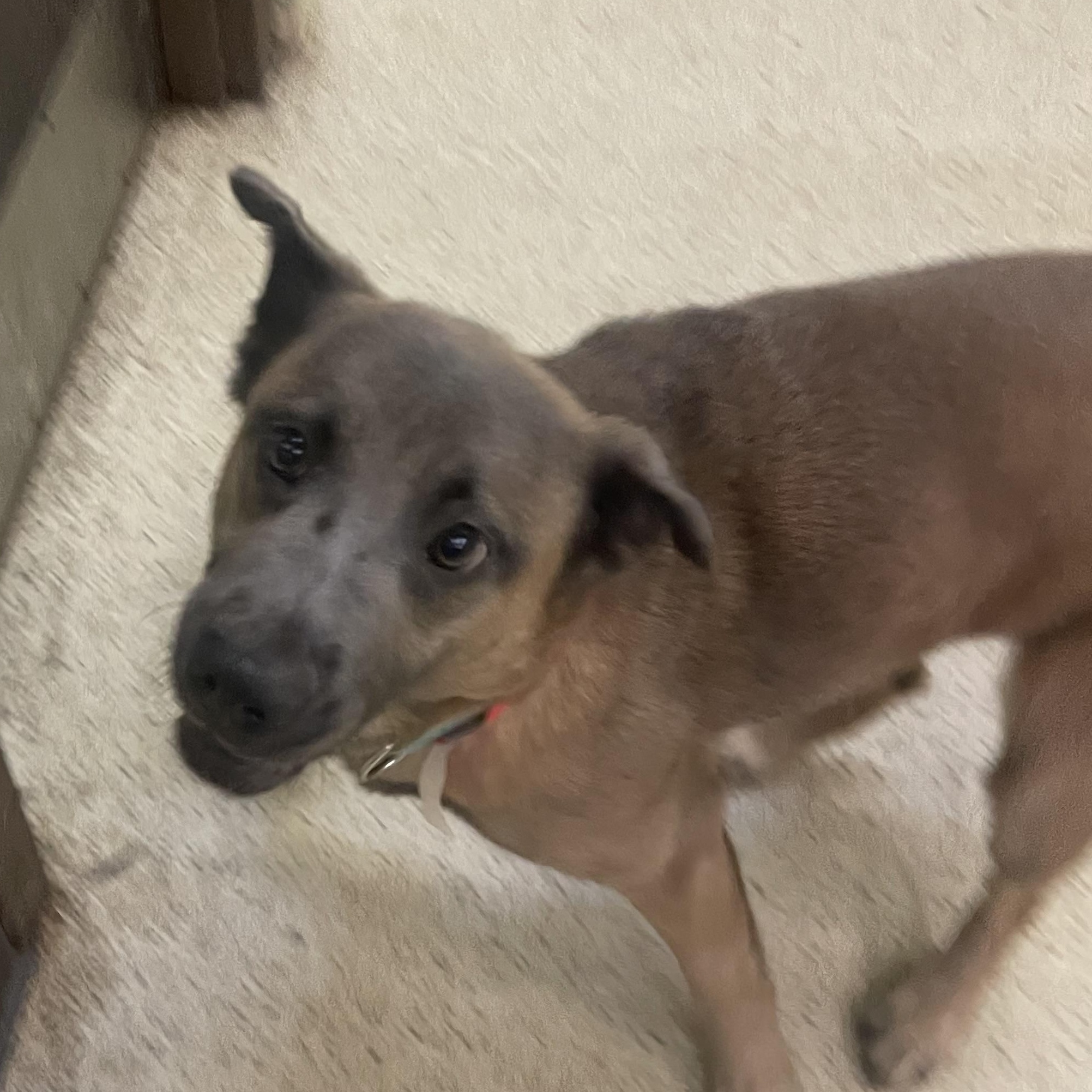 Sarah Jessica Parker — thumbnail 4