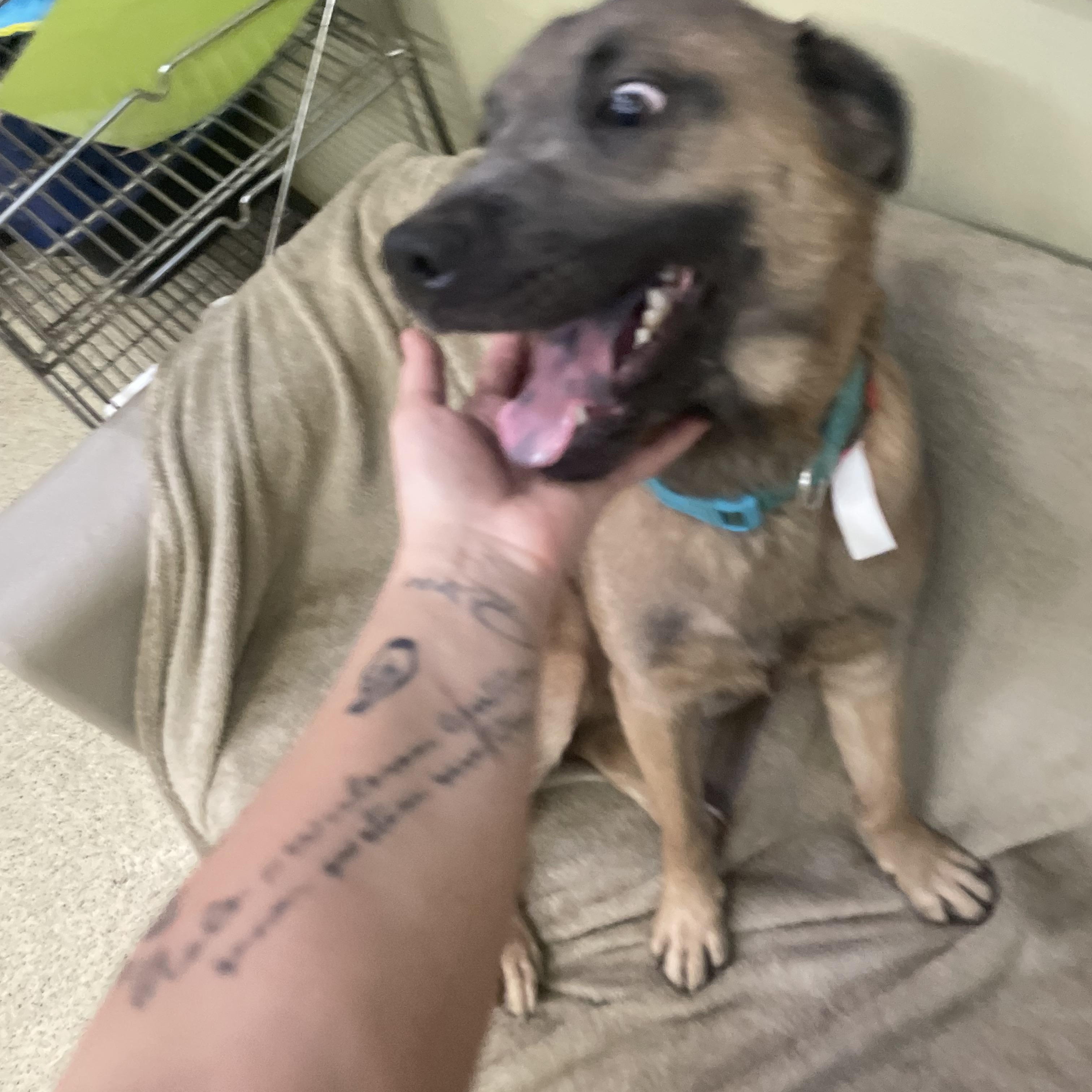 Sarah Jessica Parker — thumbnail 5