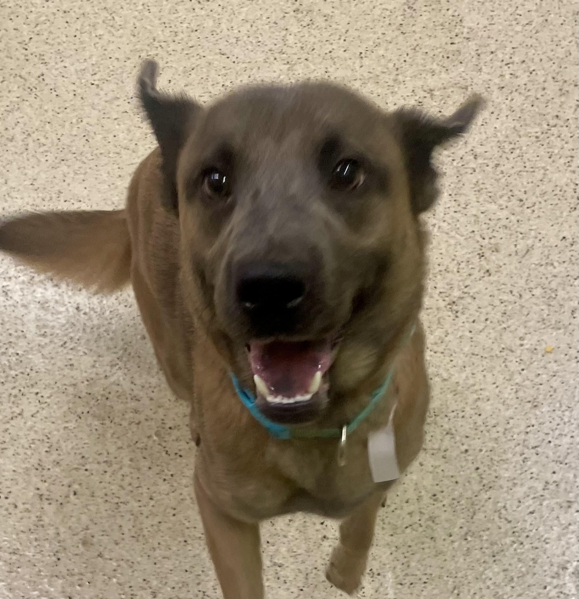 Sarah Jessica Parker — thumbnail 6