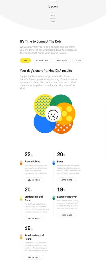 Enlarge Danny, a Adoptable mixed breed in Waterloo, IN image 3/4