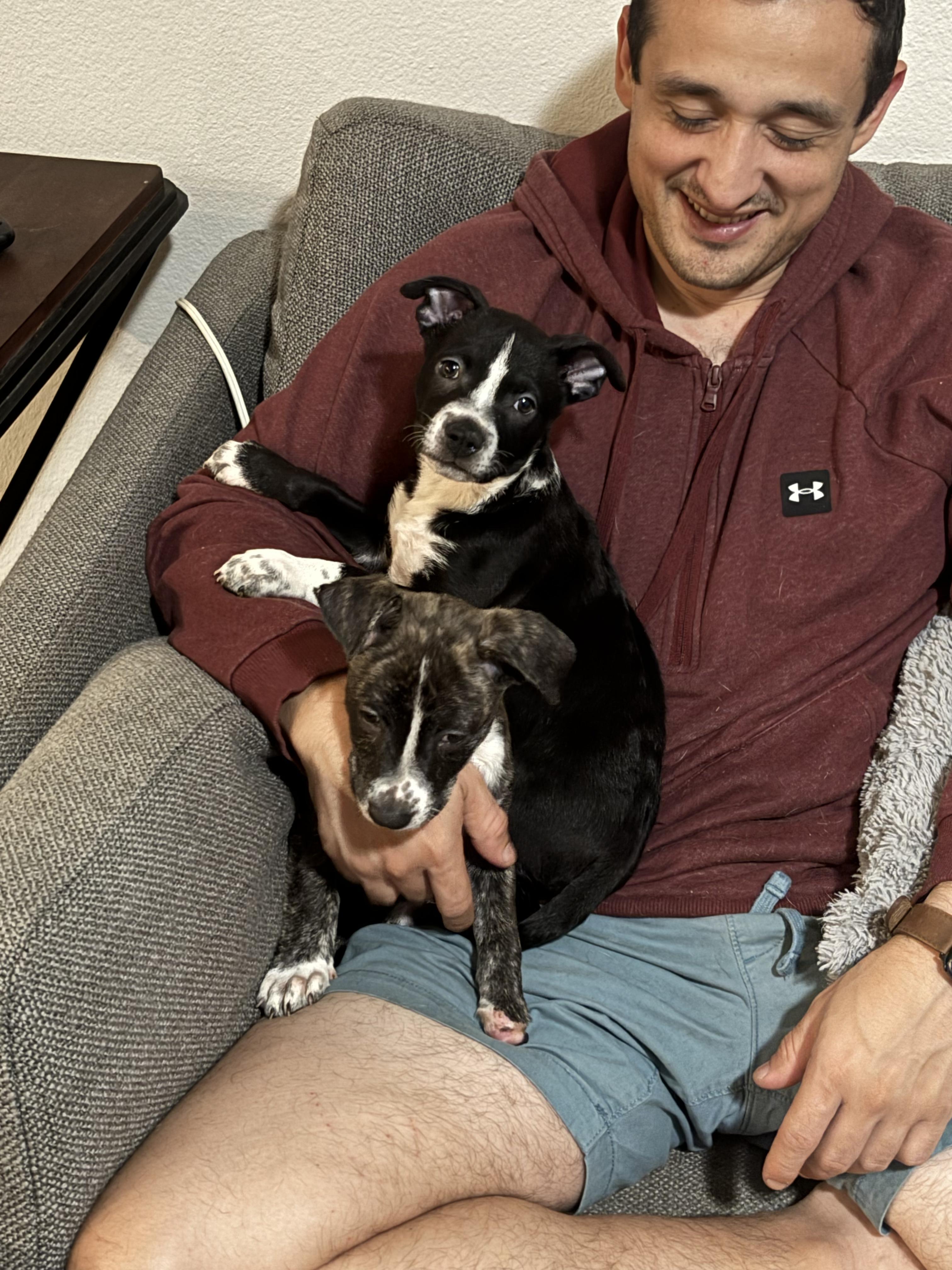 Enlarge Lizzie, a Adoptable mixed breed in Ennis, TX image 6/6