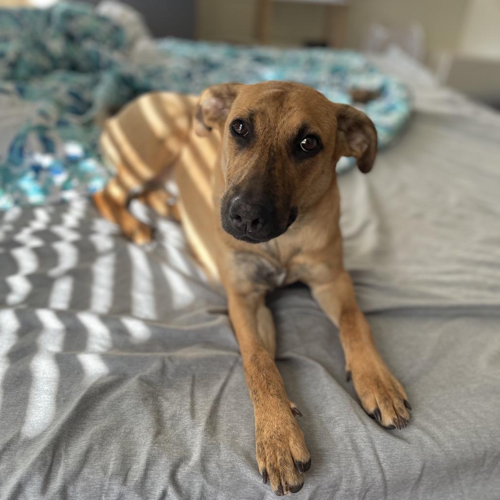 Raine Jane thumbnail 2