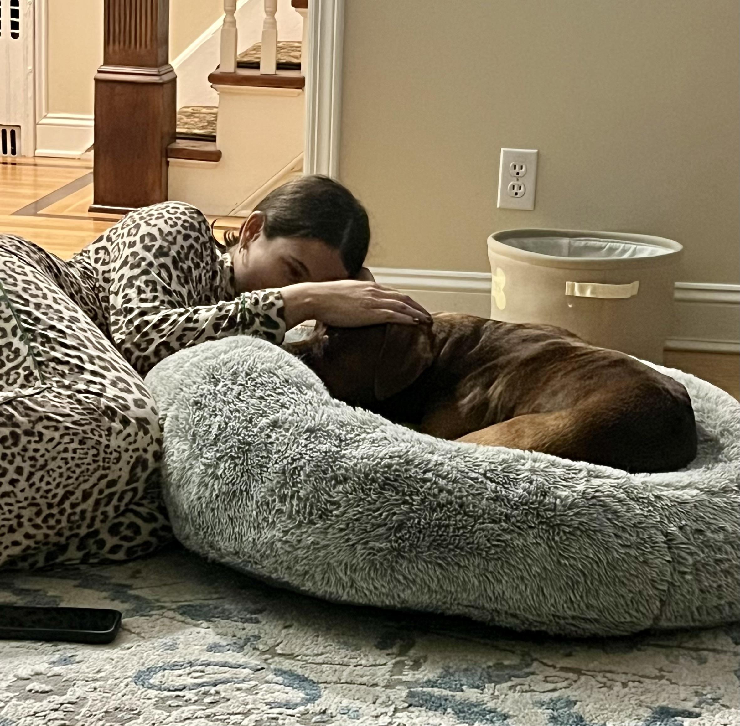 Enlarge Hooch, a ADOPTABLE Pit Bull Terrier in Harrison, NY image 2/6