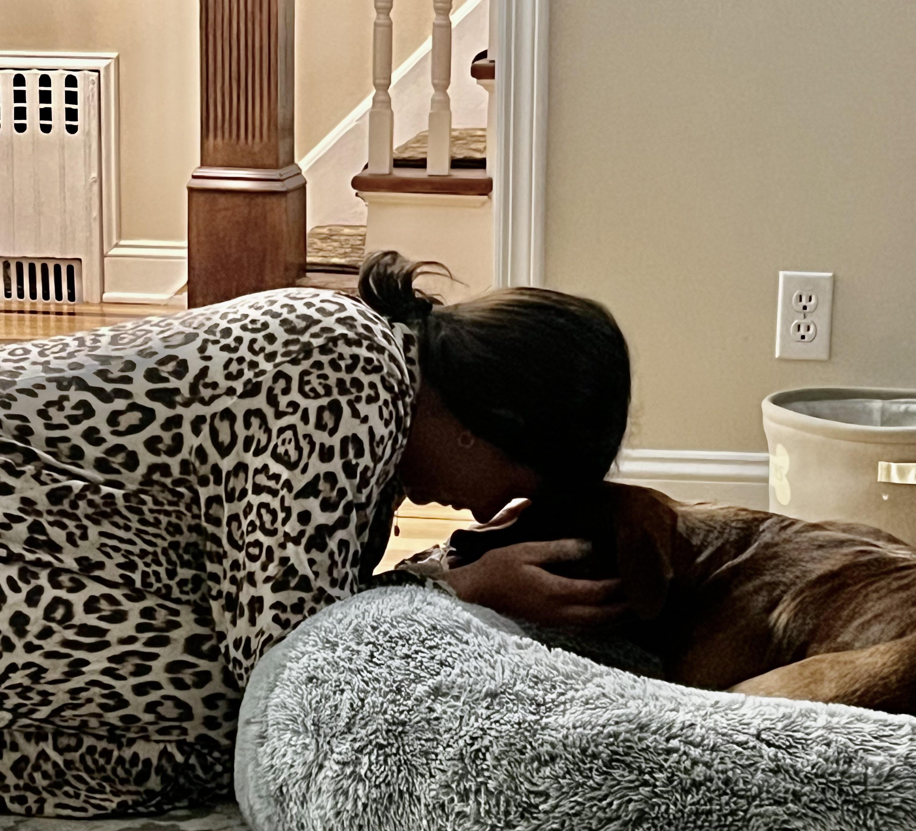 Enlarge Hooch, a ADOPTABLE Pit Bull Terrier in Harrison, NY image 3/6