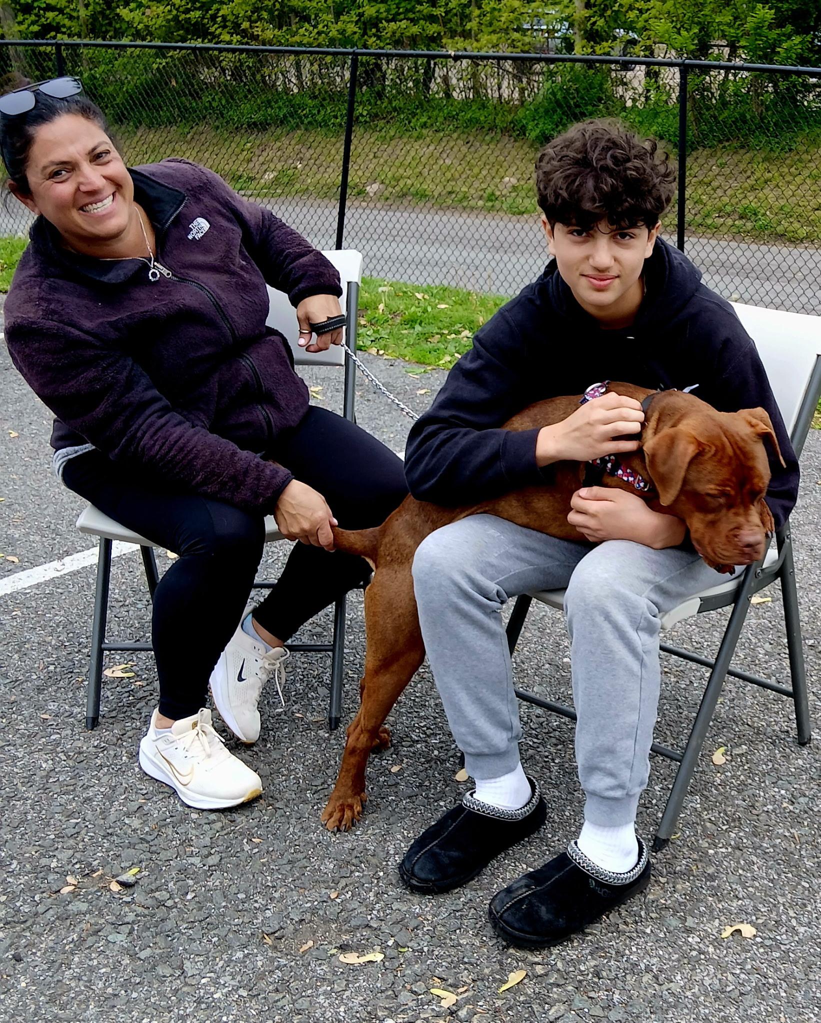 Enlarge Hooch, a ADOPTABLE Pit Bull Terrier in Harrison, NY image 6/6