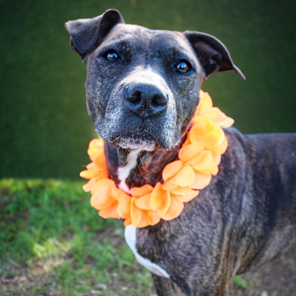 Lilly Mae — thumbnail 2