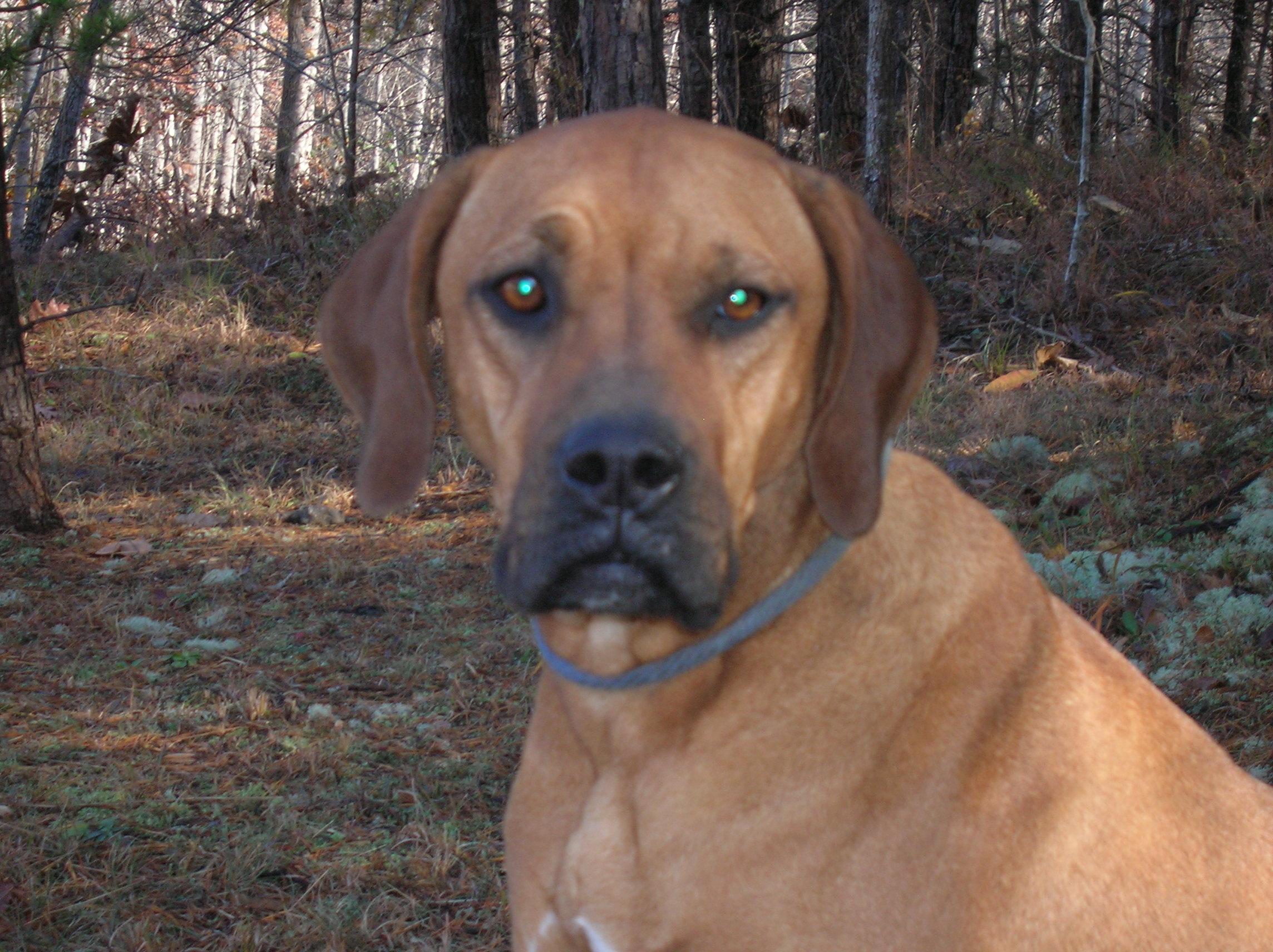 Georgia Belle photo 1