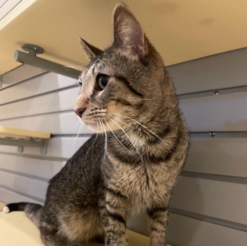 Washington — thumbnail 2