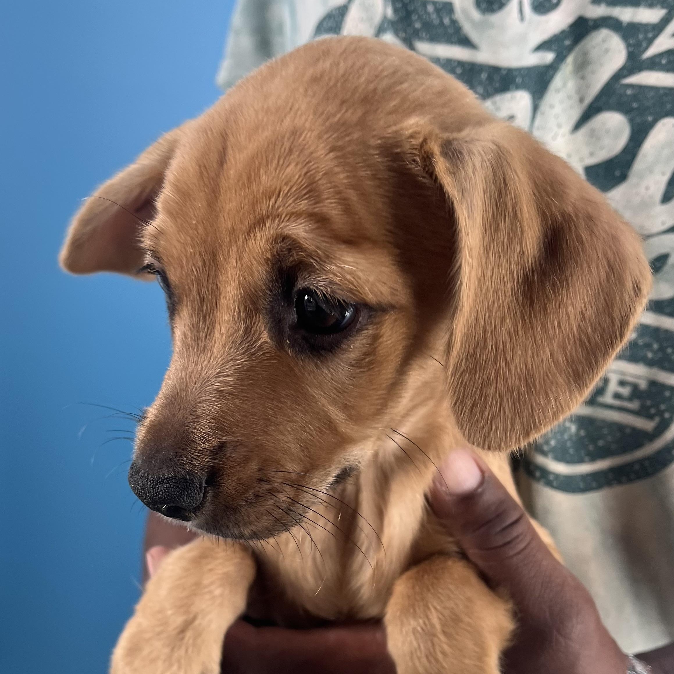 Sarah  Local Nov thumbnail 3