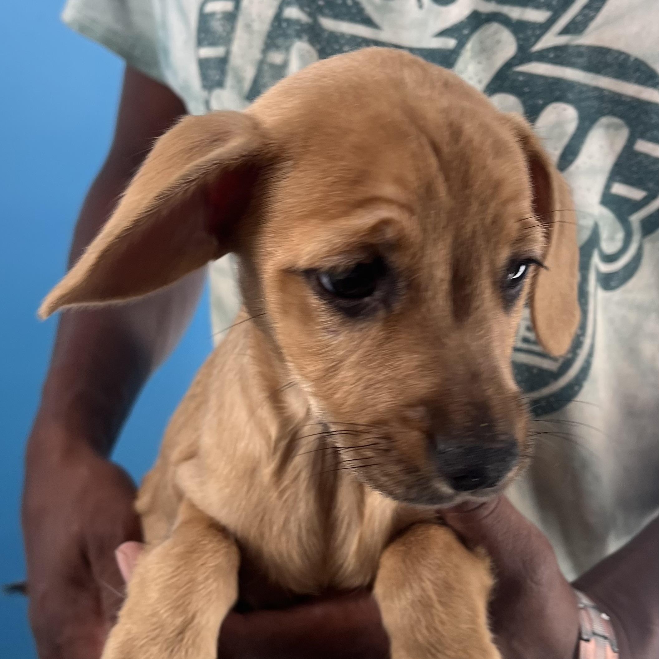 Sarah  Local Nov thumbnail 5