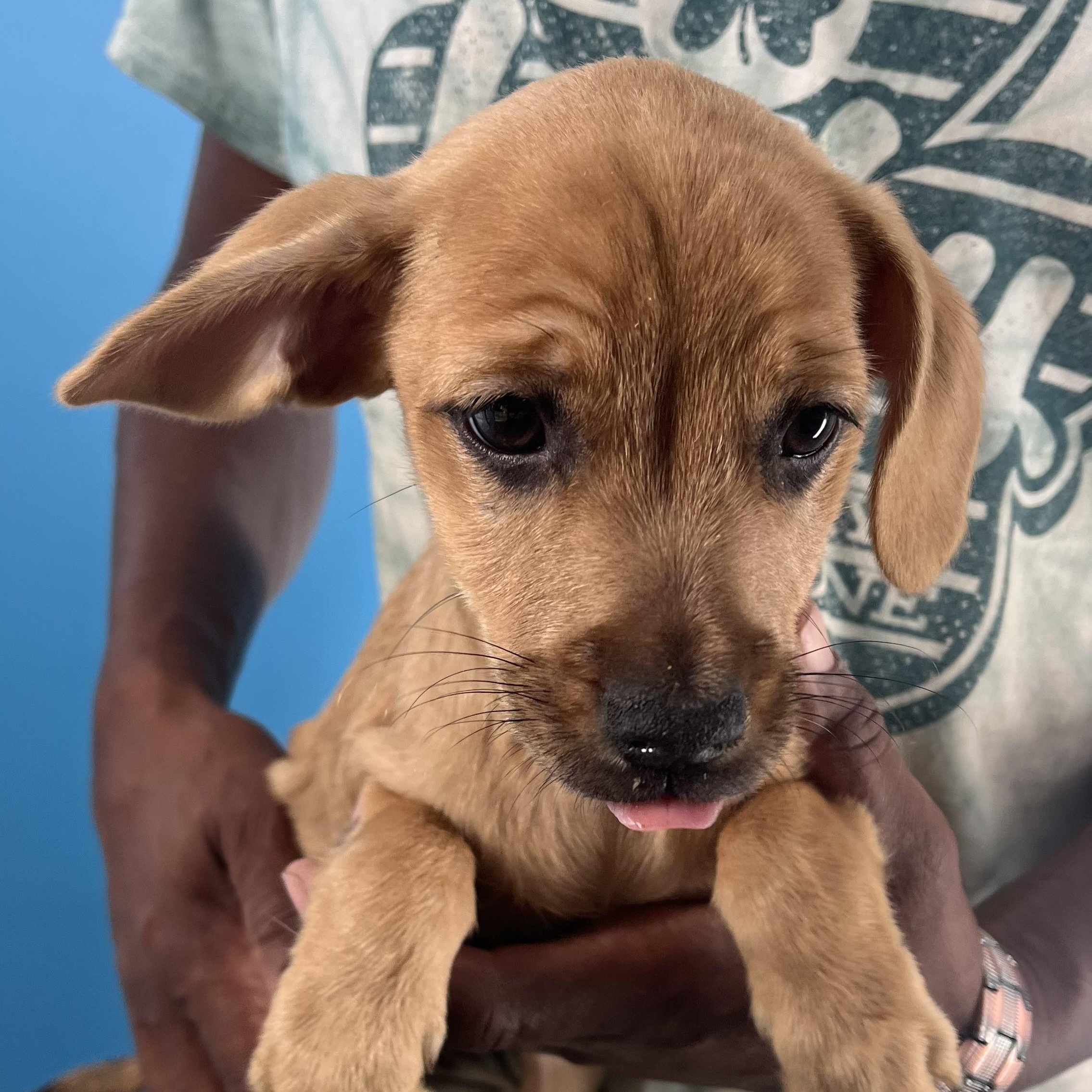 Sarah  Local Nov thumbnail 4