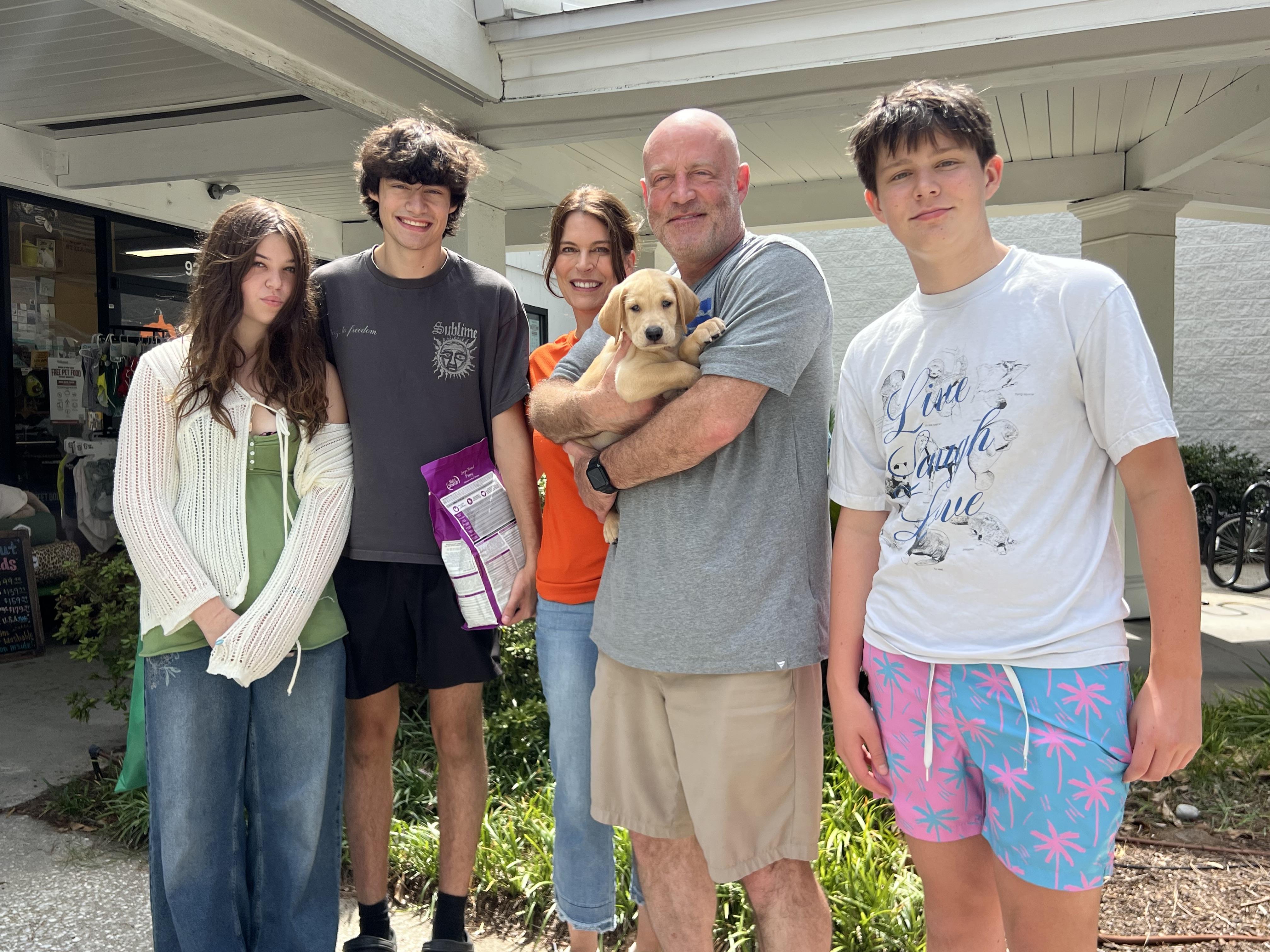 Enlarge Molson, an adopted Mixed Breed in Mt Pleasant, SC image 6/6