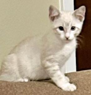 Milo
