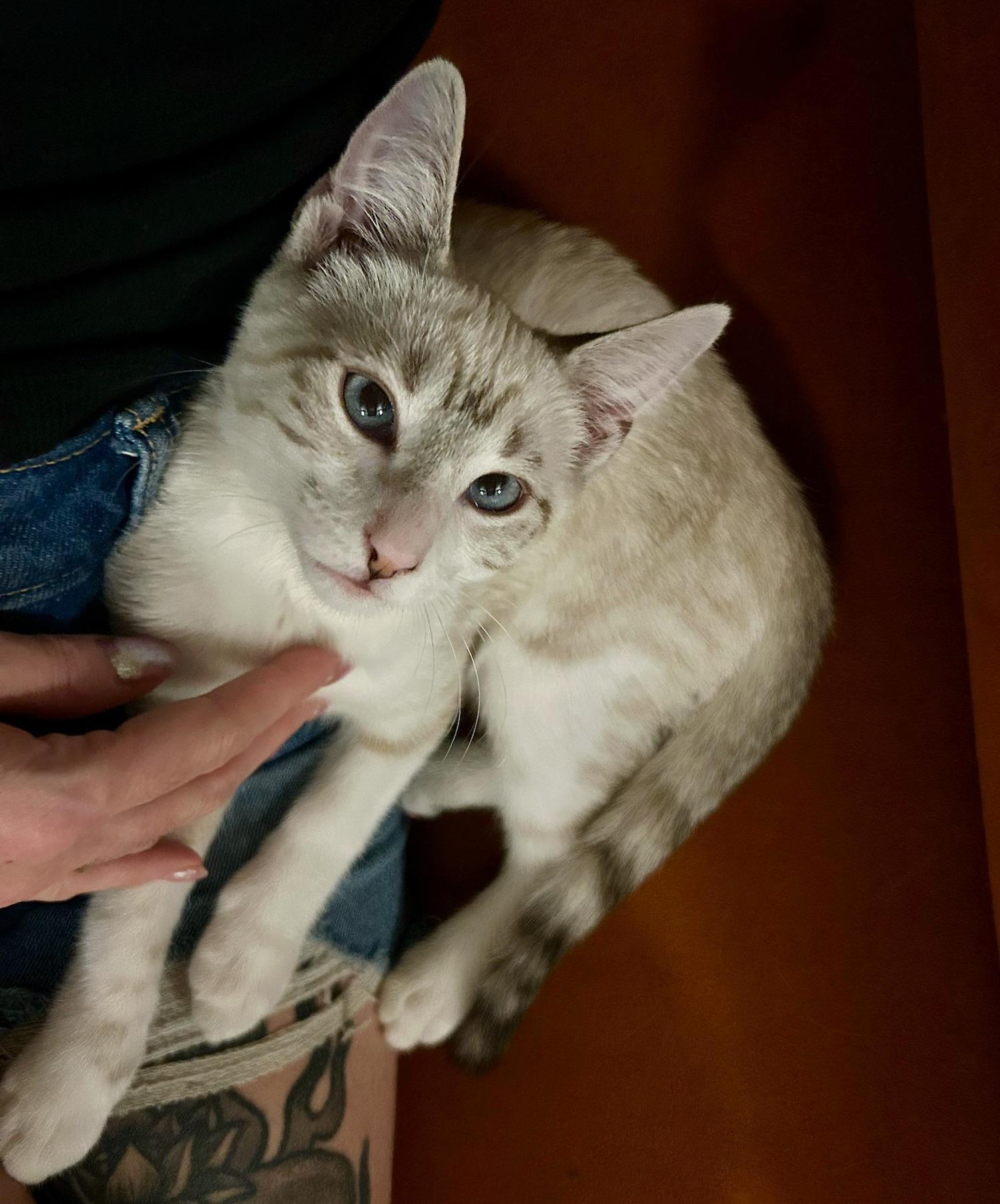 Milo