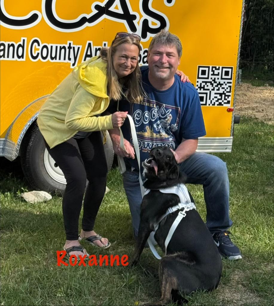 Enlarge Roxanne, a Adopted mixed breed in Crossville, TN image 1/3