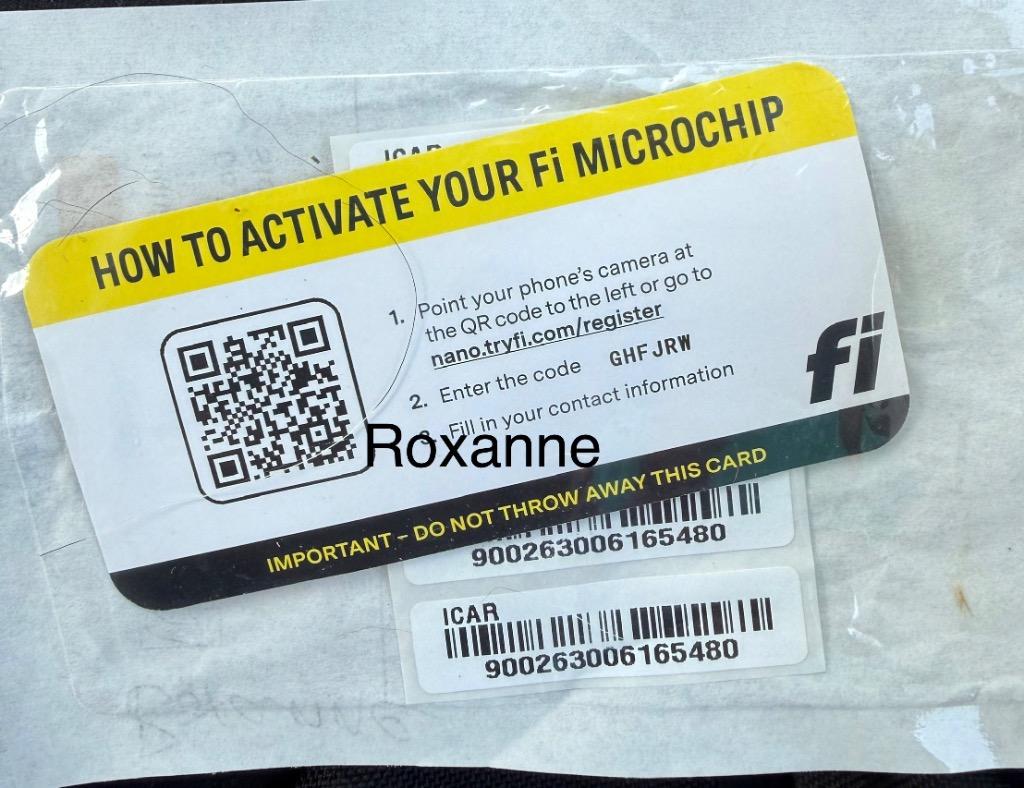 Enlarge Roxanne, a Adopted mixed breed in Crossville, TN image 2/3