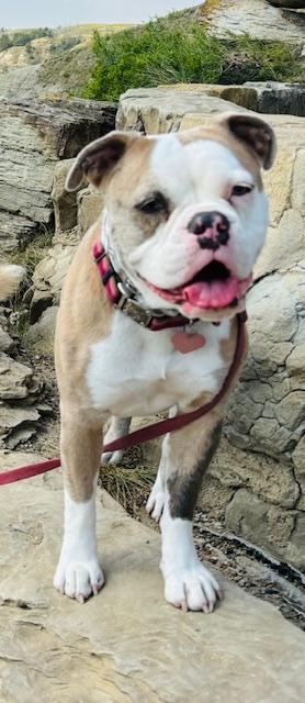 Molly! photo 4